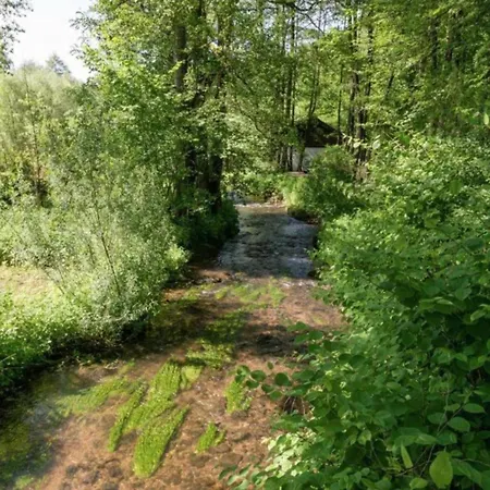Rustic In With Swimming Pool *